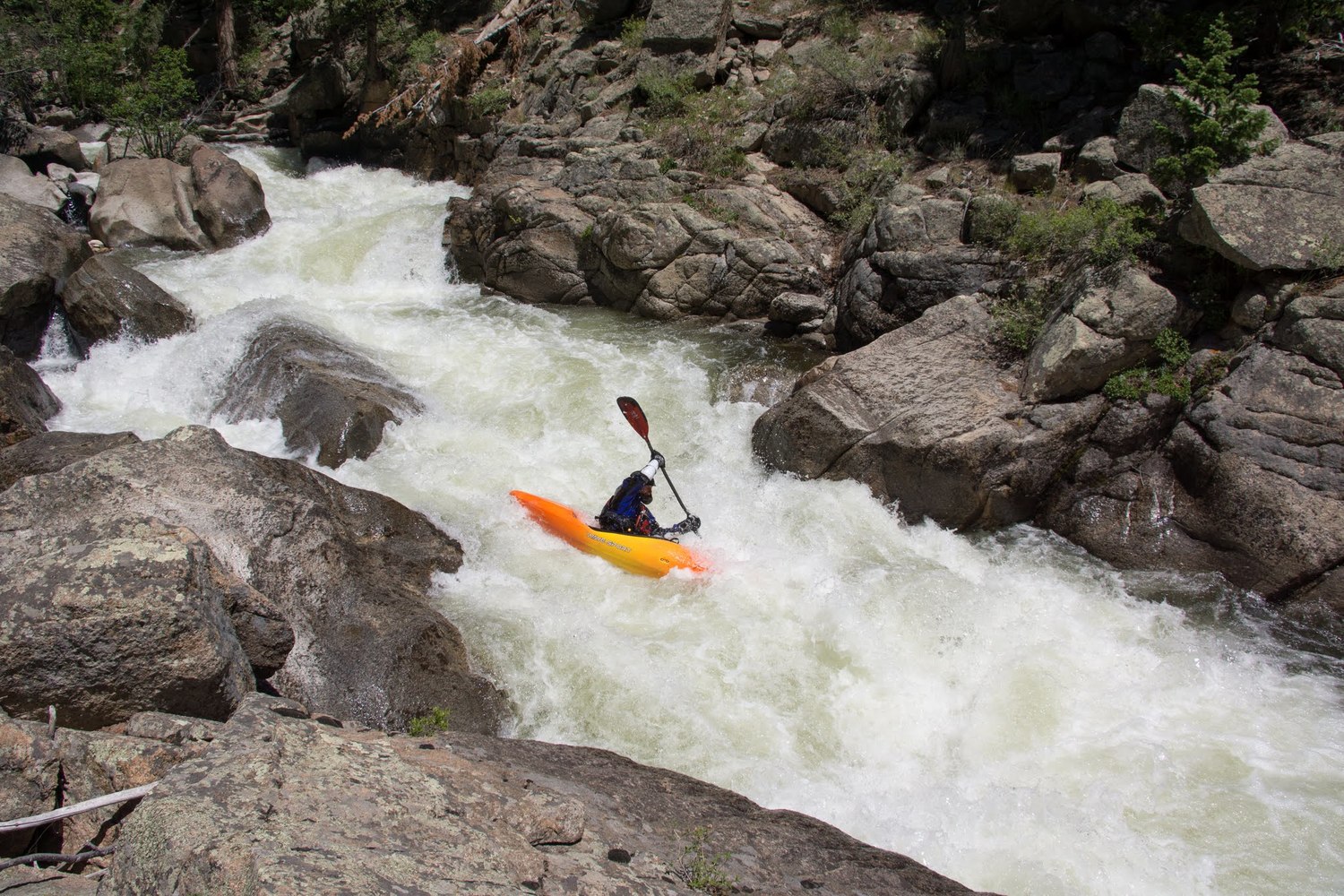 Bahbb1shogzmssipmjaxmi8wni8xms8ymf80nl8ynf81ndjfrfndmdi2ndauanbnbjogrvrbcdogcdokdgh1bwjjig4xntawede1mdagowzu