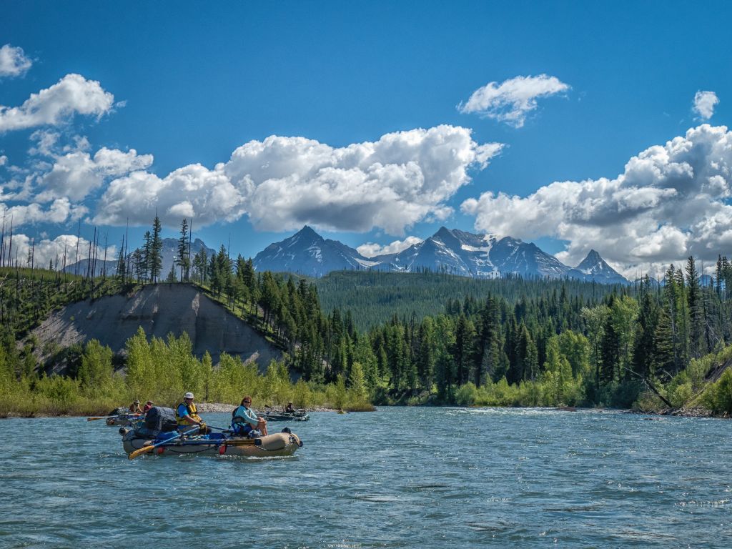 Bahbblshogzmssi3mjaxny8wny8wmy8xn18xof8ymv81mtbfmjaxnza2mjnfudewnja4njffrwrpdc5qcgcgogzfva