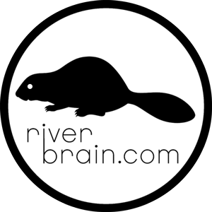 Riverbrain circle sticker