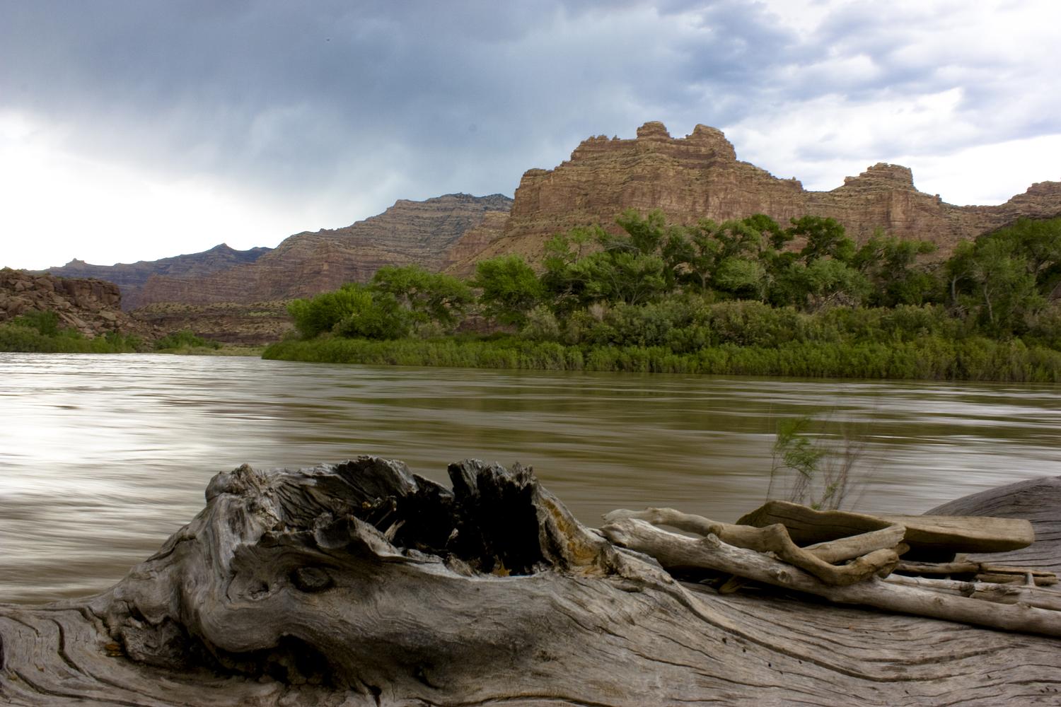 Green River from Wire Fence Camp