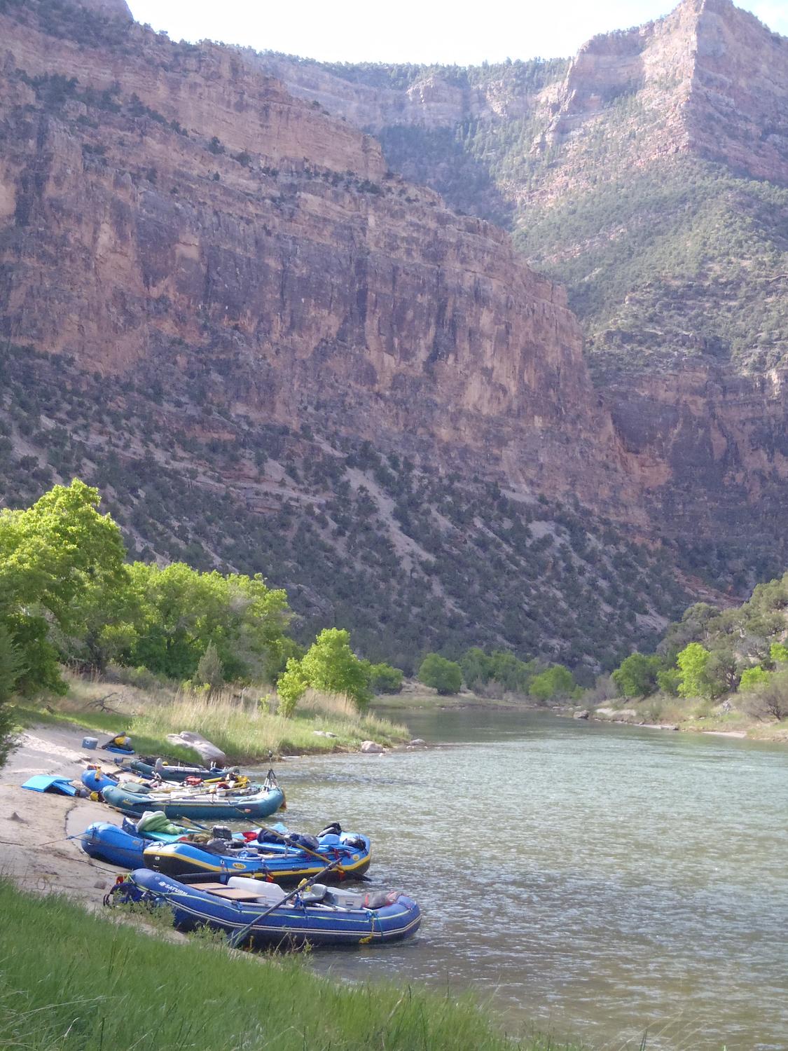 Limestone Camp