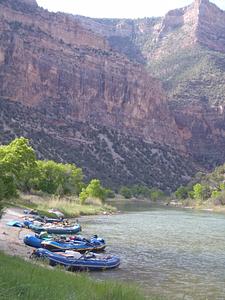 Limestone Camp