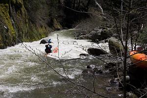 Rapid in Upper Mill Creek