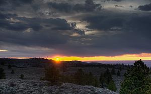 Boxelder at sunset
