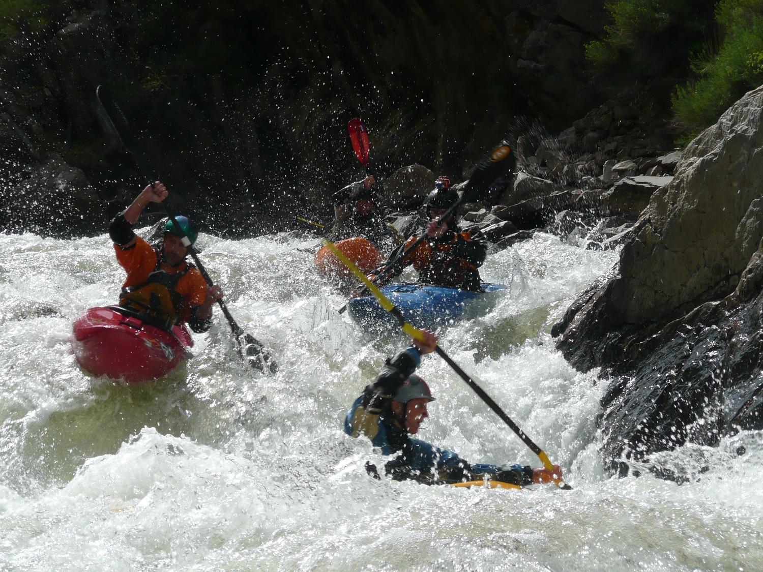 Narrows Race