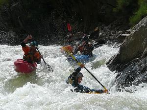 Narrows Race