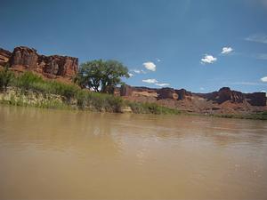 Mineral Bottom