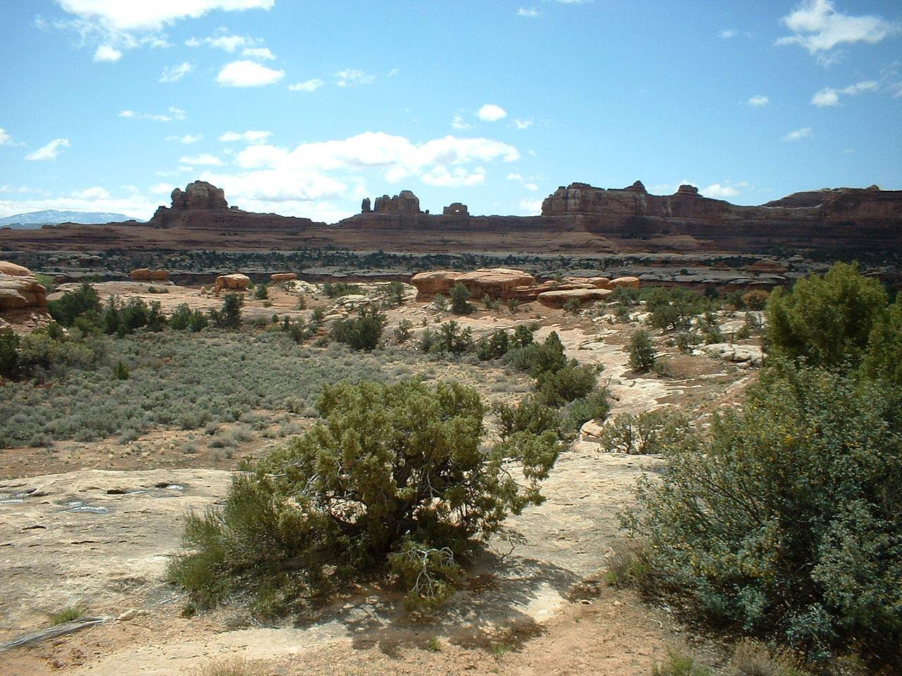 Woodenshoe Arch