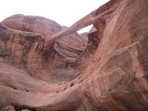 Ring Arch