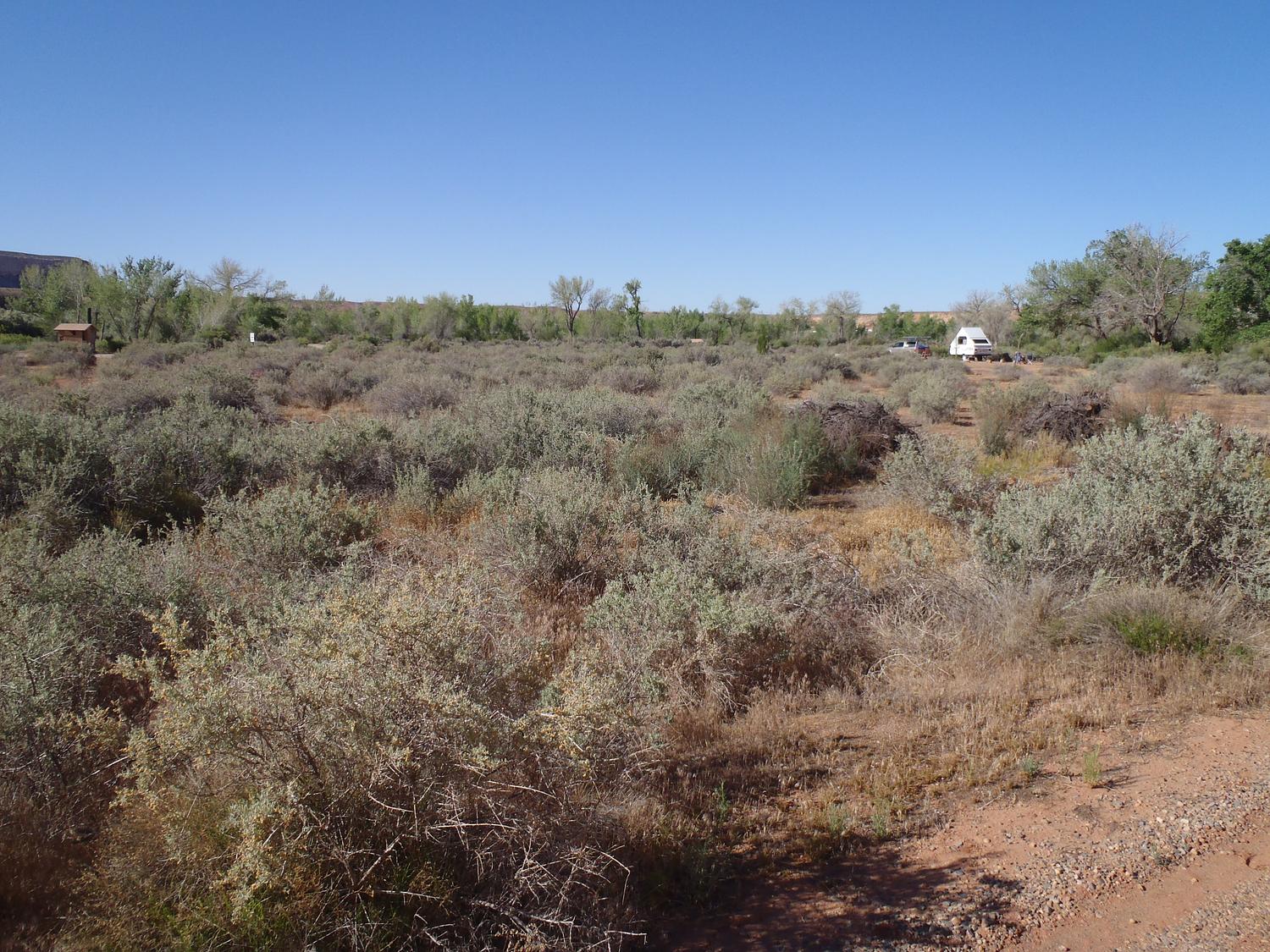 Sand Island Camping