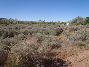 Sand Island Camping