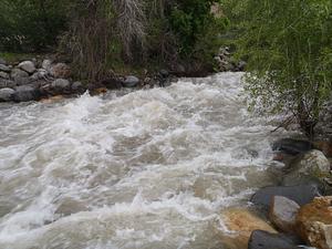 River at flood levels