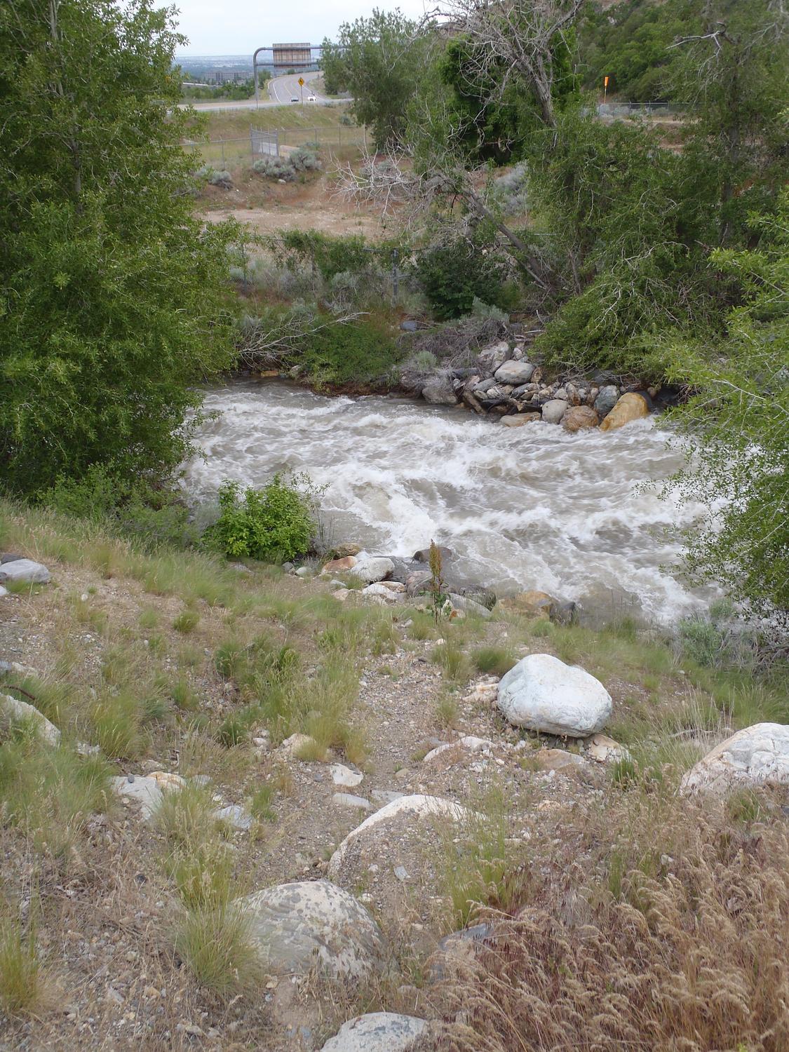 River at flood levels