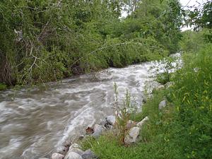 River at flood levels